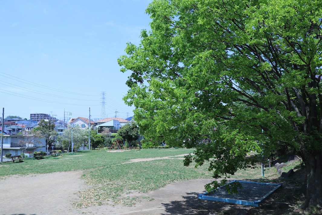 コラボハウス・南ユーカリが丘 8街区1-3号室 公園