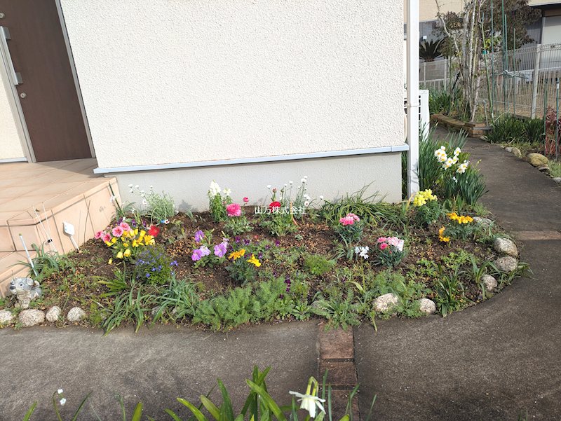 成田市公津の杜6丁目戸建 現地写真（庭）