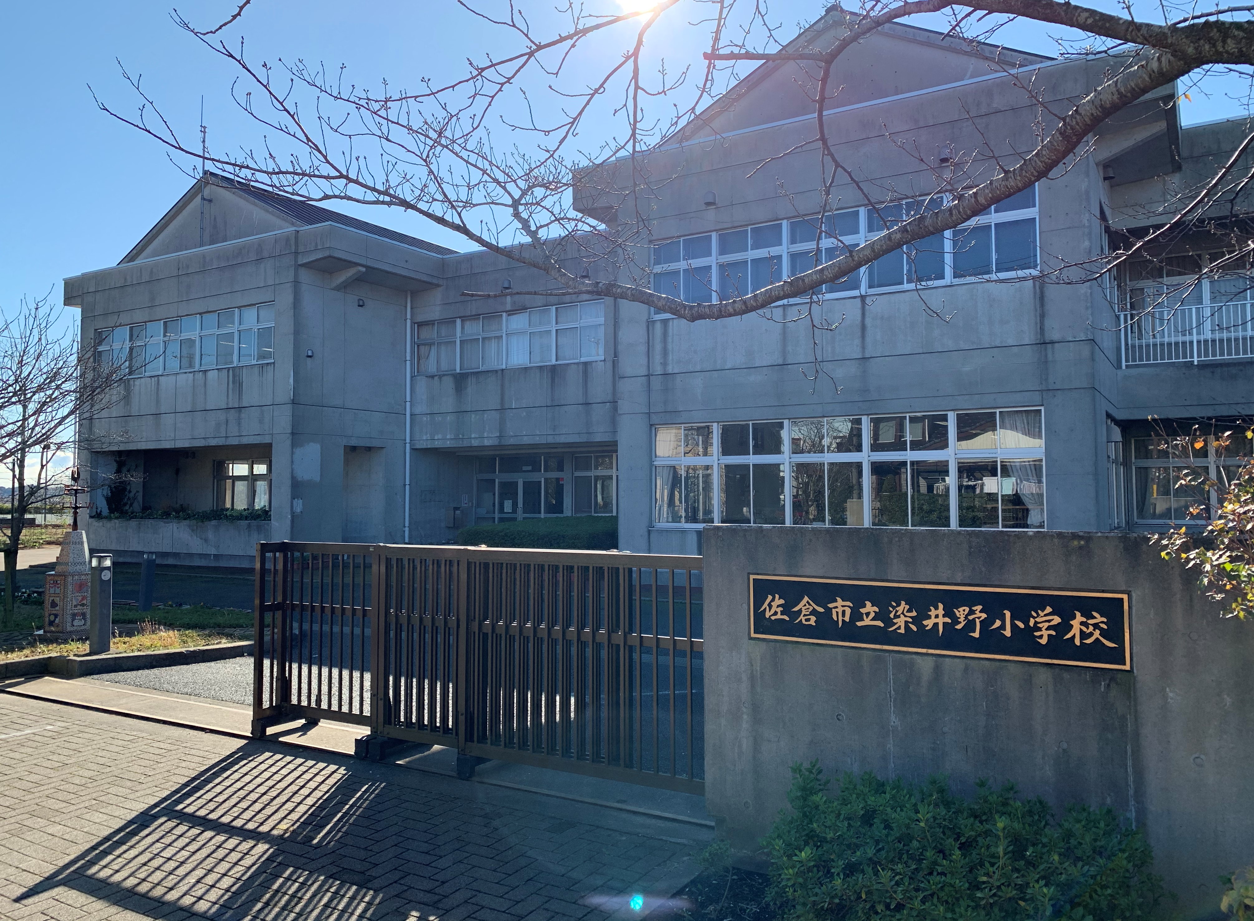千葉県佐倉市染井野３丁目 小学校