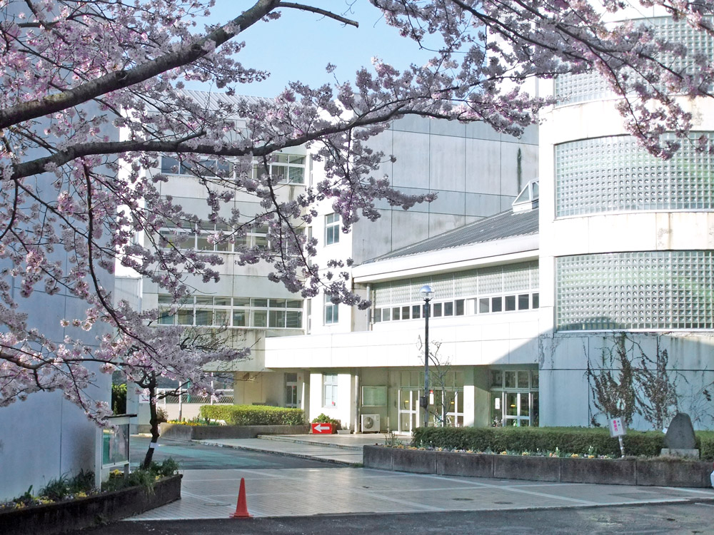 佐倉市白銀4丁目　「白銀ニュータウン分譲地」　中古戸建 中学校