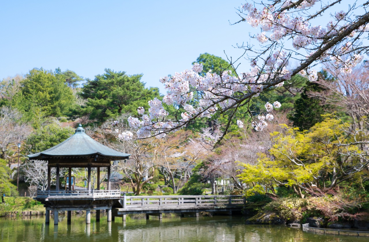 【新築分譲戸建】成田市寺台第1 公園