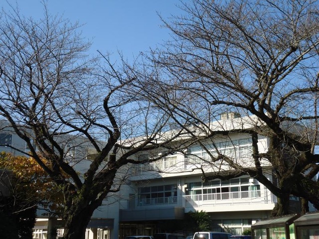 【新築分譲戸建】成田市寺台第1 小学校