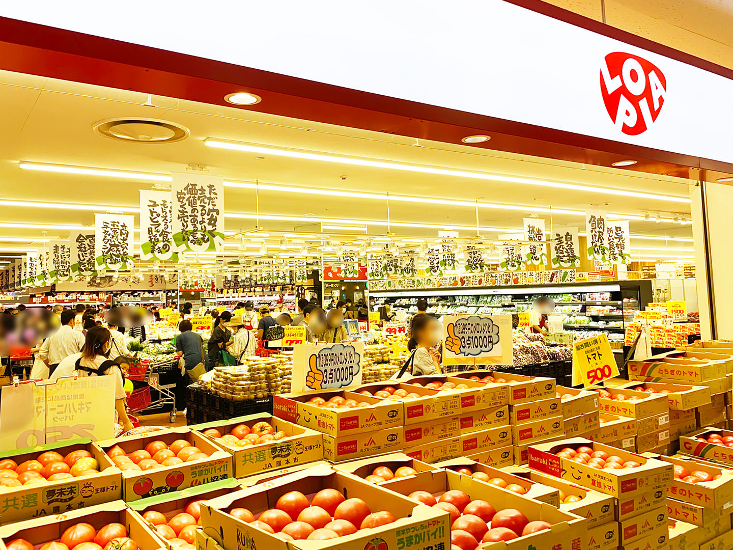成田市公津の杜1丁目 戸建 スーパー