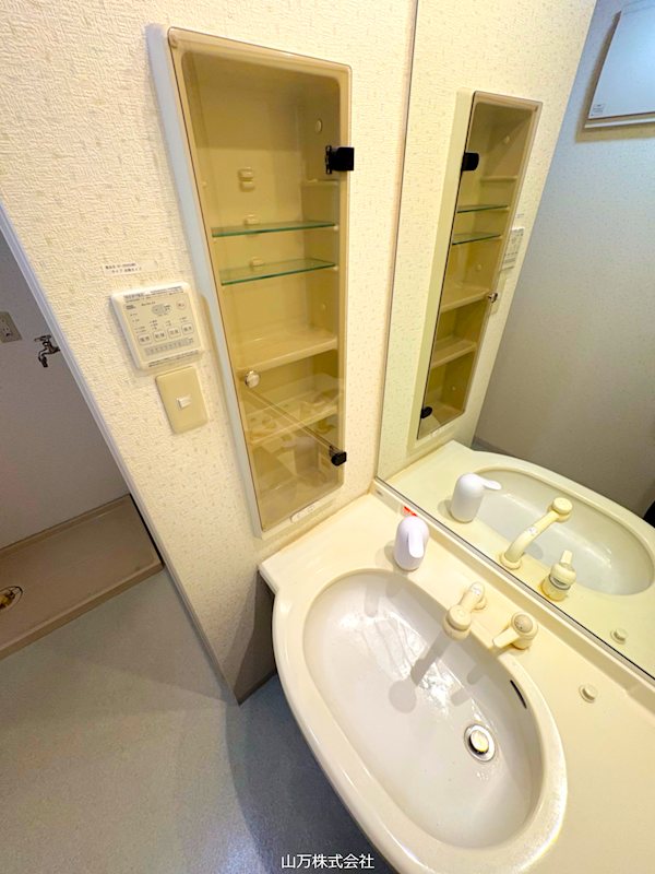 千葉県八千代市勝田台１丁目 内観写真（洗面台・洗面所）