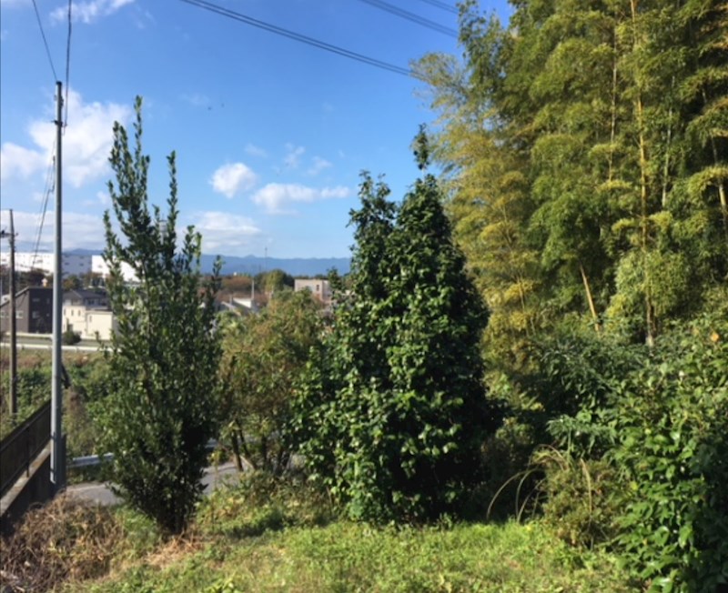 石橋123坪売地 その他