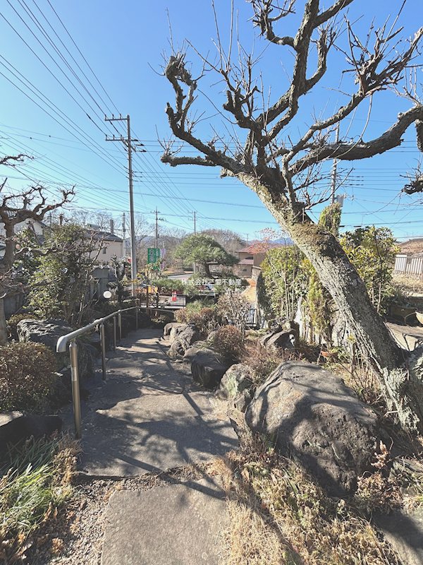 埼玉県比企郡小川町みどりが丘１丁目 現地写真（庭）
