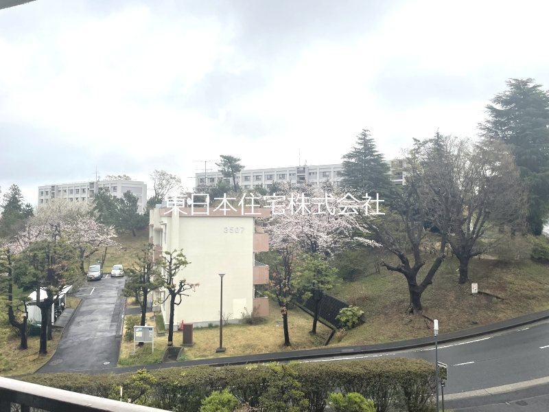 汐見台第７住宅 3903棟 眺望写真