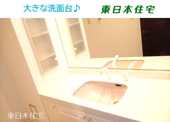 アビック２１ 内観写真（洗面台・洗面所）