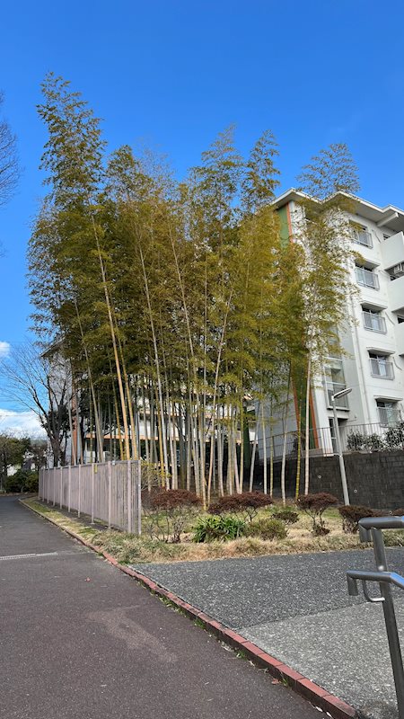 鳶尾団地24街区 共用部写真（その他）