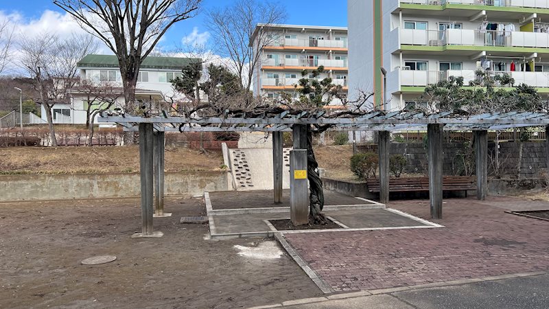 鳶尾団地24街区 共用部写真（その他）