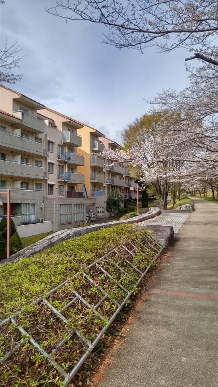 ベルコリーヌ南大沢 その他