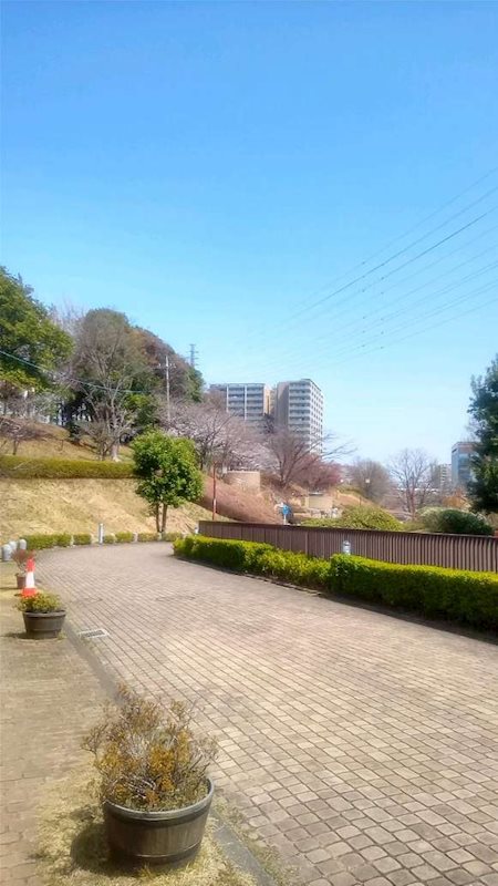 ベルコリーヌ南大沢 その他