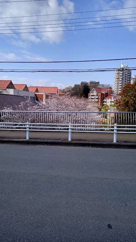 ベルコリーヌ南大沢 その他