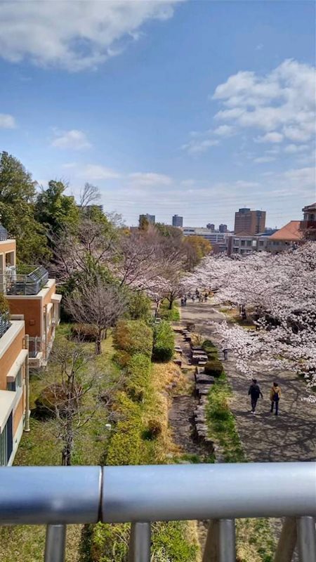 ベルコリーヌ南大沢 その他