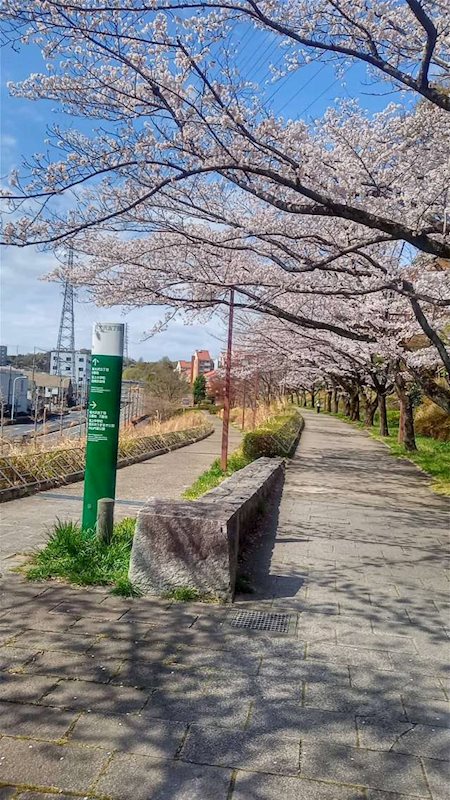 ベルコリーヌ南大沢 その他