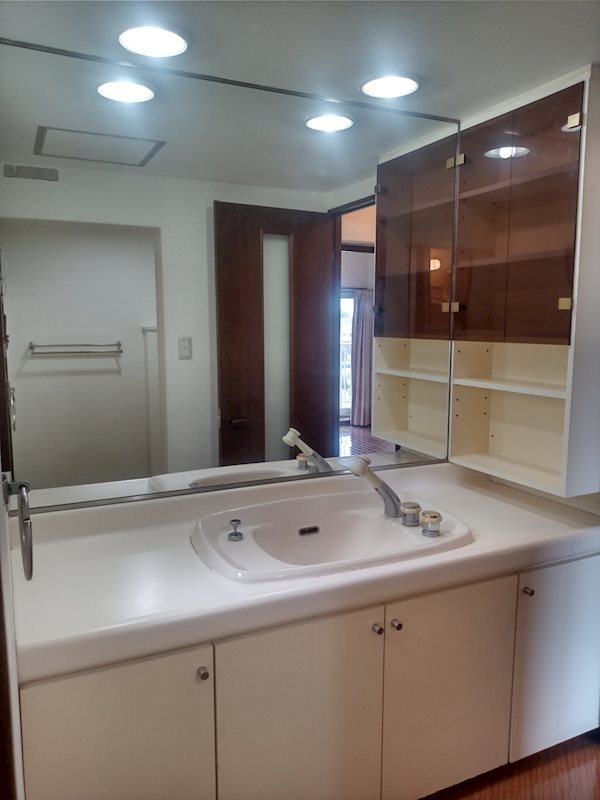 入間扇町屋団地 内観写真（洗面台・洗面所）