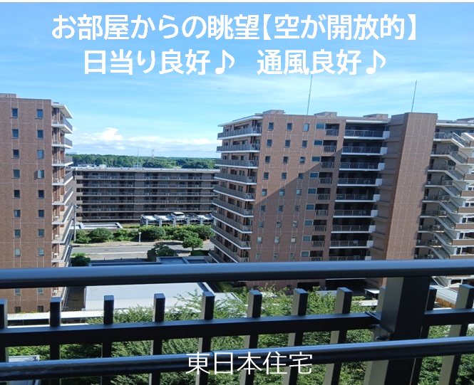 ザ・レジデンス千葉ニュータウン中央 眺望写真