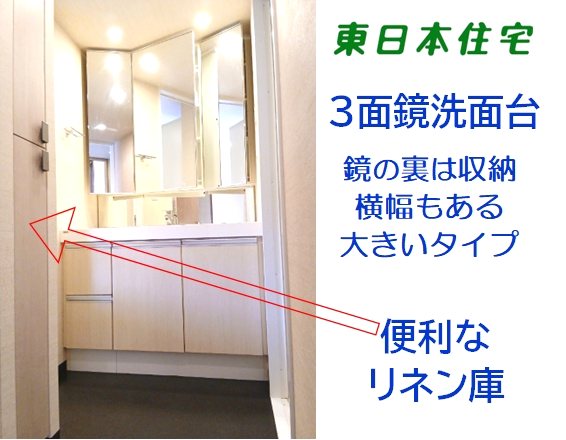 ザ・レジデンス千葉ニュータウン中央 内観写真（洗面台・洗面所）