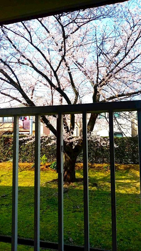 落合団地4-2 眺望写真