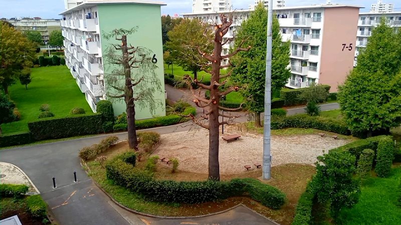 花見川団地7街区 眺望写真