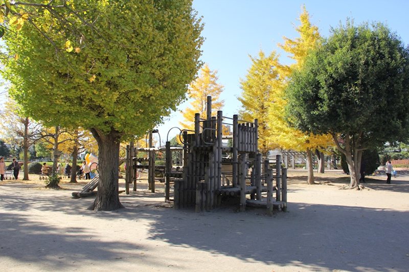 三郷早稲田団地（7丁目） その他