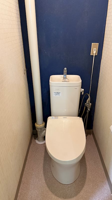 厚木そりだハイツ 内観写真（トイレ）