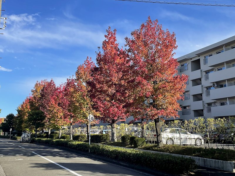 並木2丁目第6住宅 その他