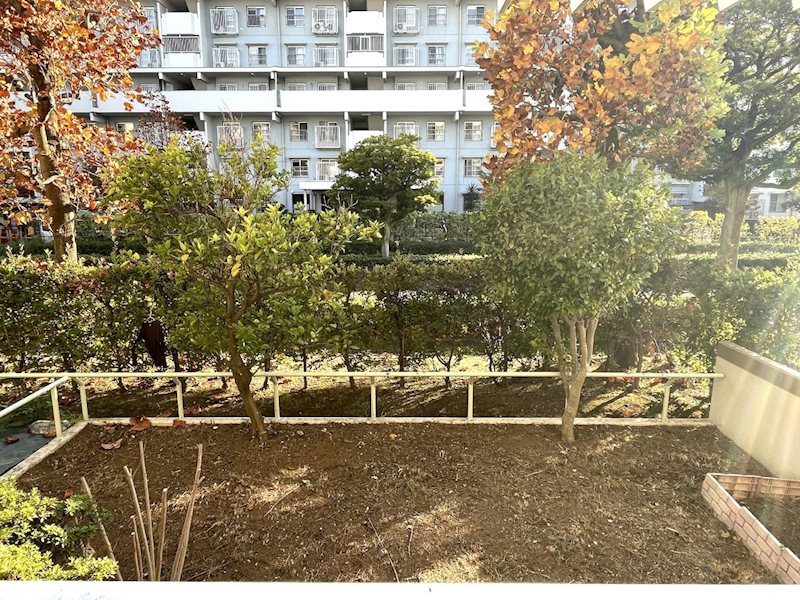 並木2丁目第6住宅 現地写真（庭）
