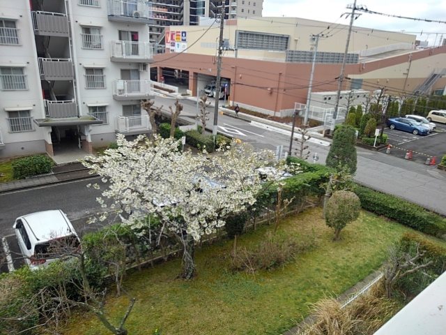 東鷲宮ニュータウン駅前通り（4街区） 眺望写真