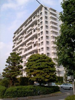 シティコープ清新16号棟 現地写真