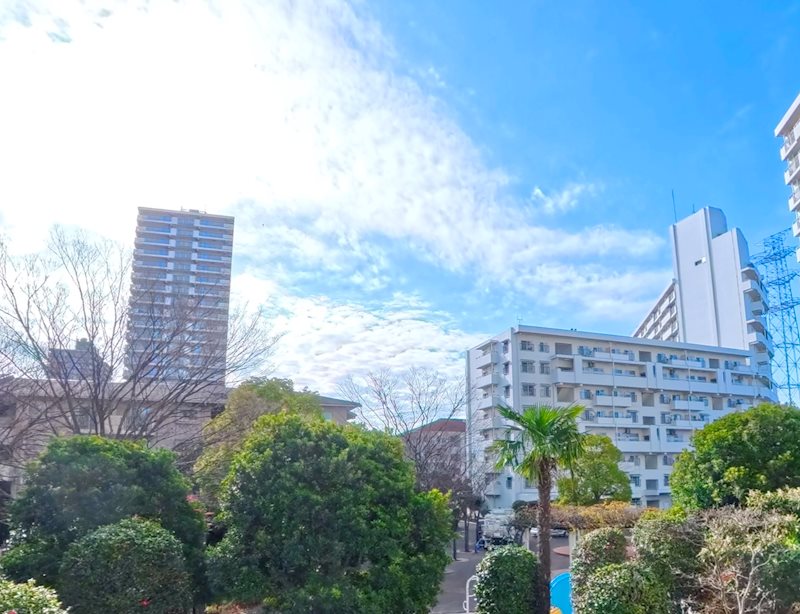 シティコープ清新16号棟 眺望写真