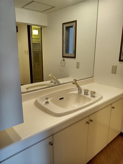 入間扇町屋団地 内観写真（洗面台・洗面所）