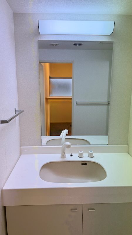 ベルフラワーズ大住台 内観写真（洗面台・洗面所）