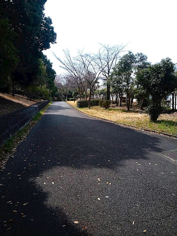 タウンハウス貝取 その他