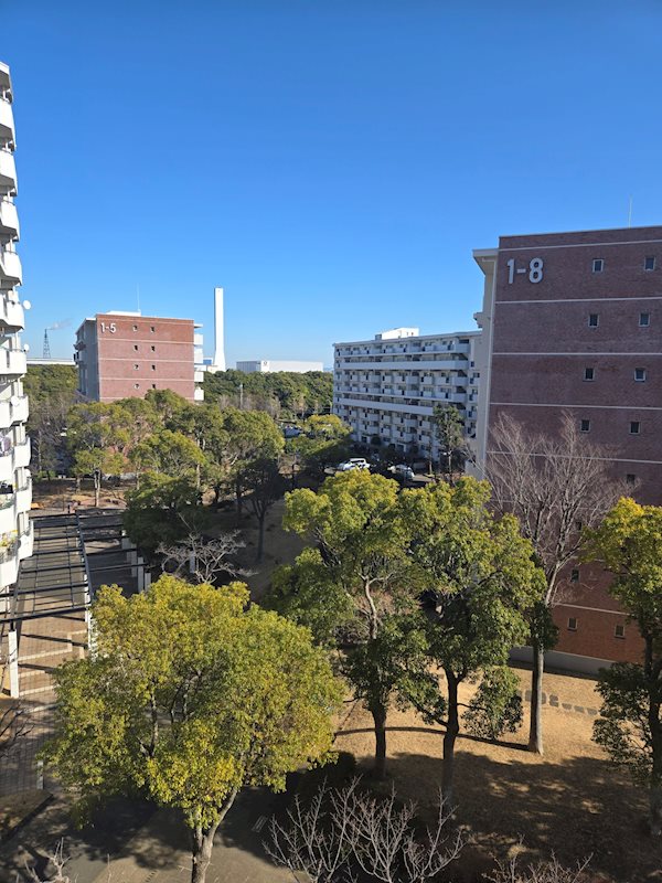 並木2丁目第1住宅 眺望写真
