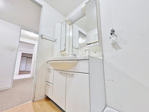 清新北ハイツ5号棟 内観写真（洗面台・洗面所）