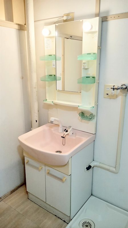 高津団地5街区（大和田新田） 内観写真（洗面台・洗面所）