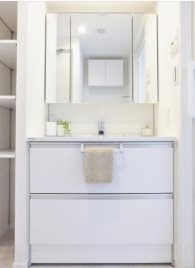 エストラーセ長池 内観写真（洗面台・洗面所）