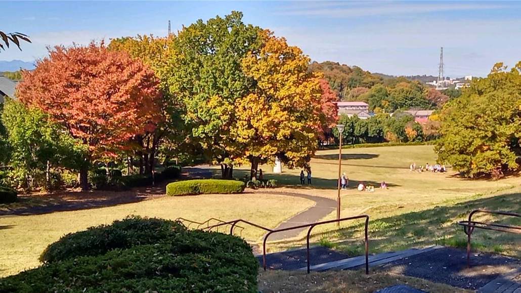 エストラーセ長池 公園