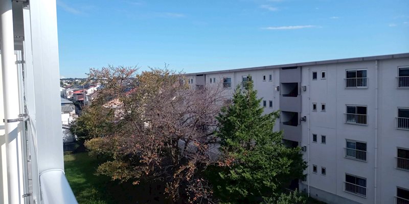 桂台団地6棟 その他
