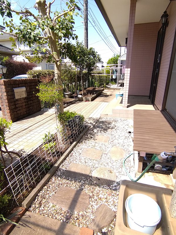 戸建　池の上3丁目 現地写真（庭）