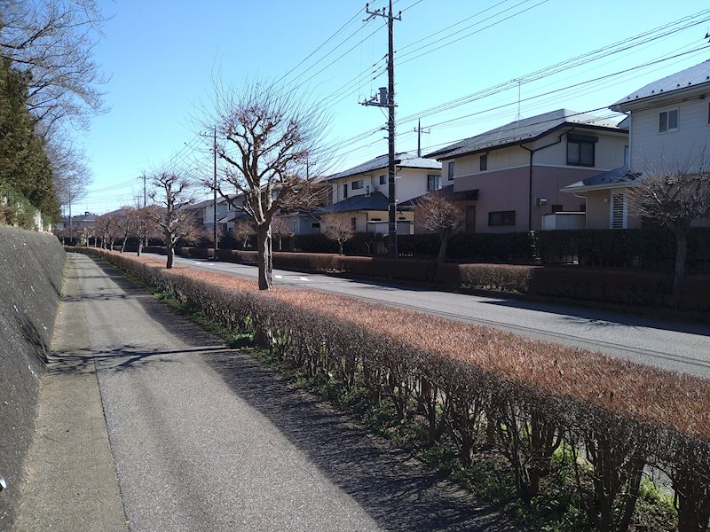 戸建　池の上3丁目 その他