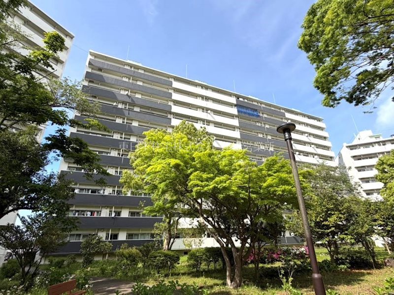 県ドリームハイツ 現地写真