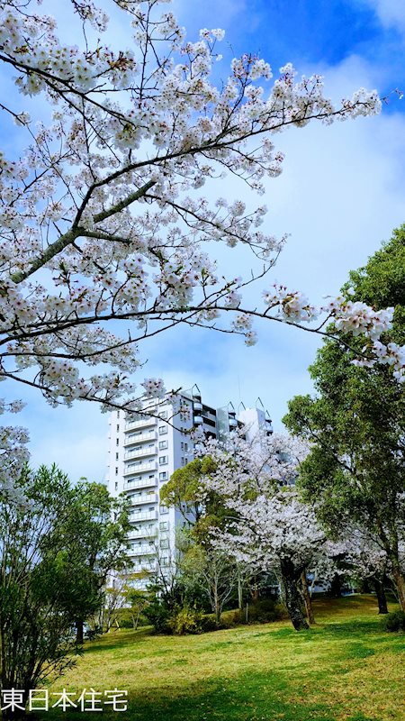 フロイデ成田 現地写真