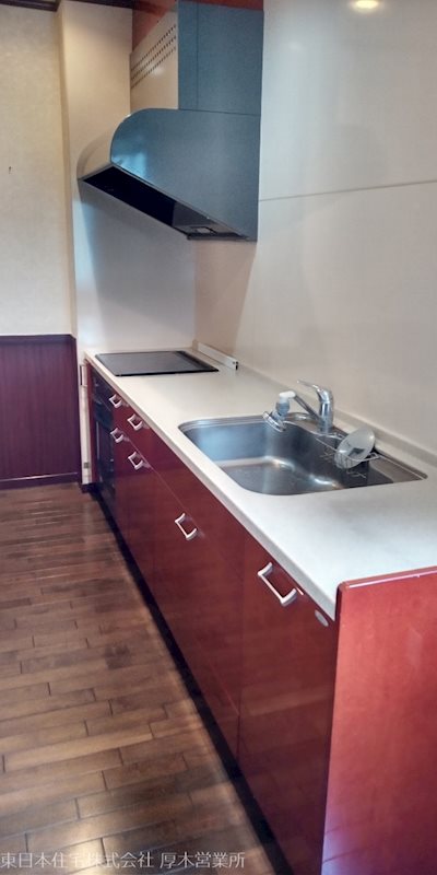 厚木市下荻野診療所兼住宅 内観写真（キッチン）