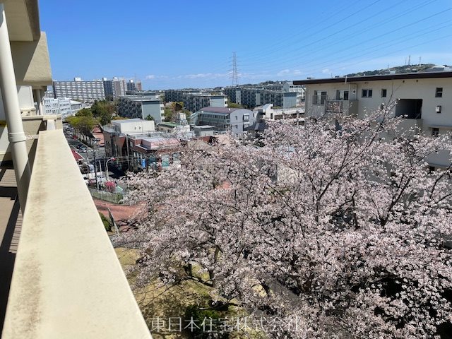 港南台つぐみ団地 眺望写真