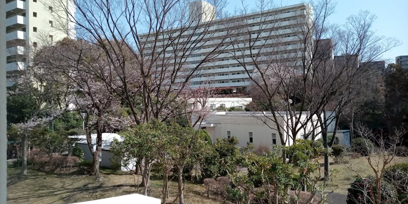 野庭団地 眺望写真