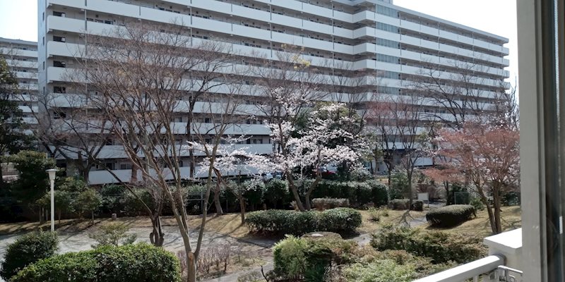 野庭団地 眺望写真