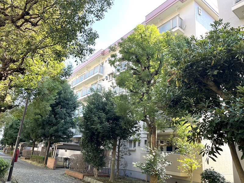 野火止団地 現地写真