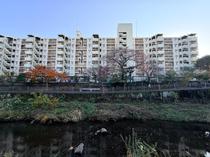 コープ野村湘南本郷台２号棟 その他